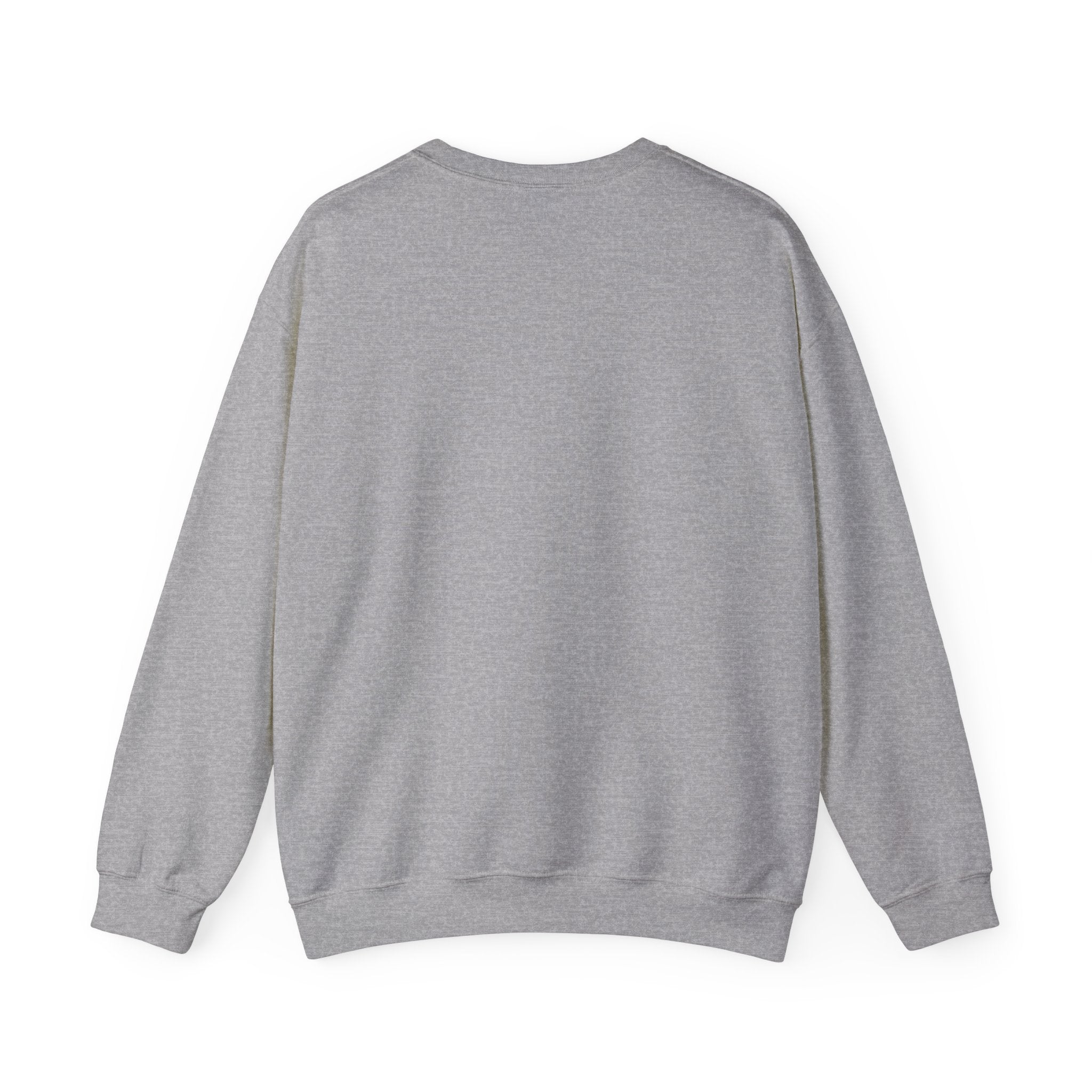 Cozy But Uncontained Raccoon Sweatshirt | Feral Raccoon Aesthetic, Wilderness