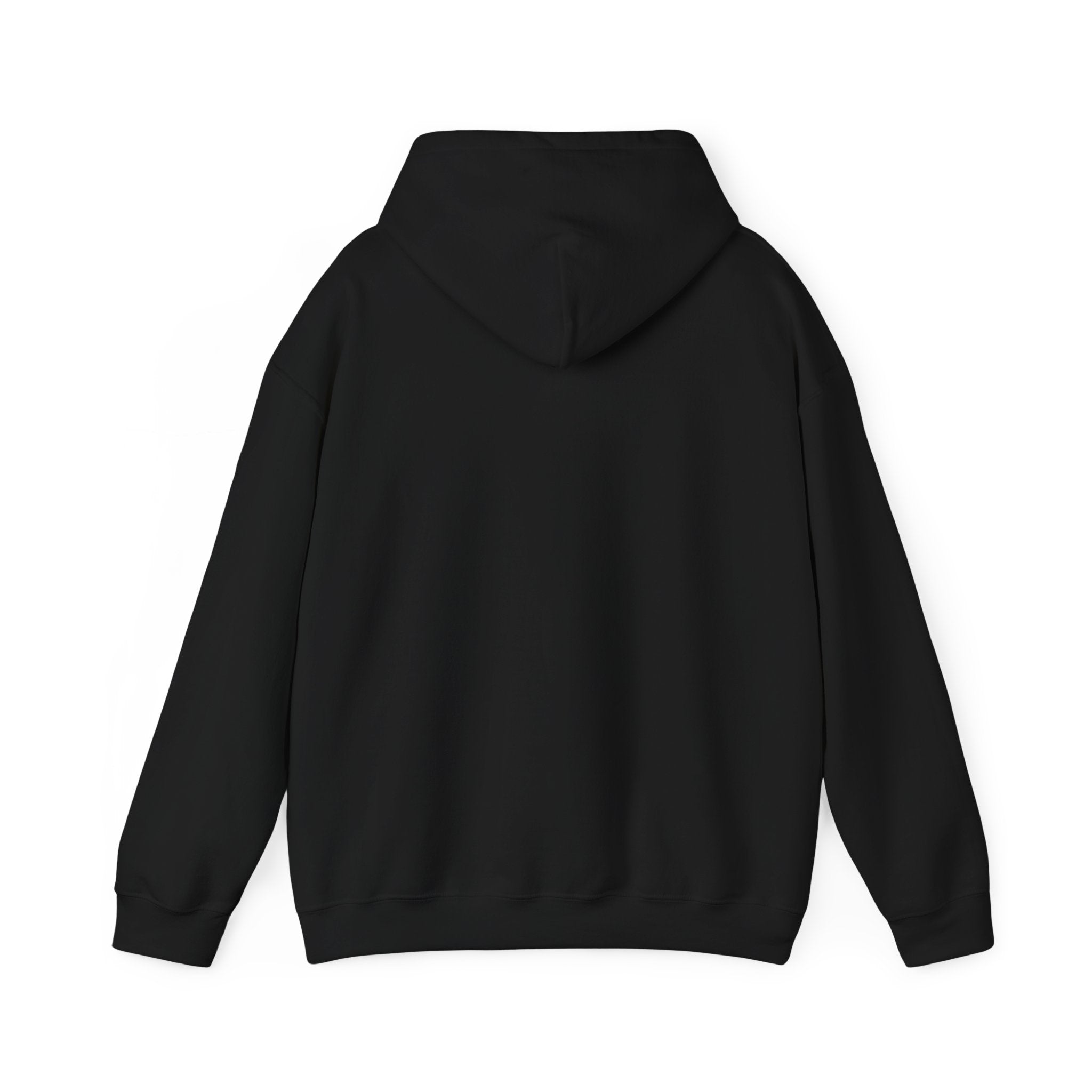 Feral Raccoon Illustration Hoodie | Celestial Wilderness, Trash-Panda Aesthetic