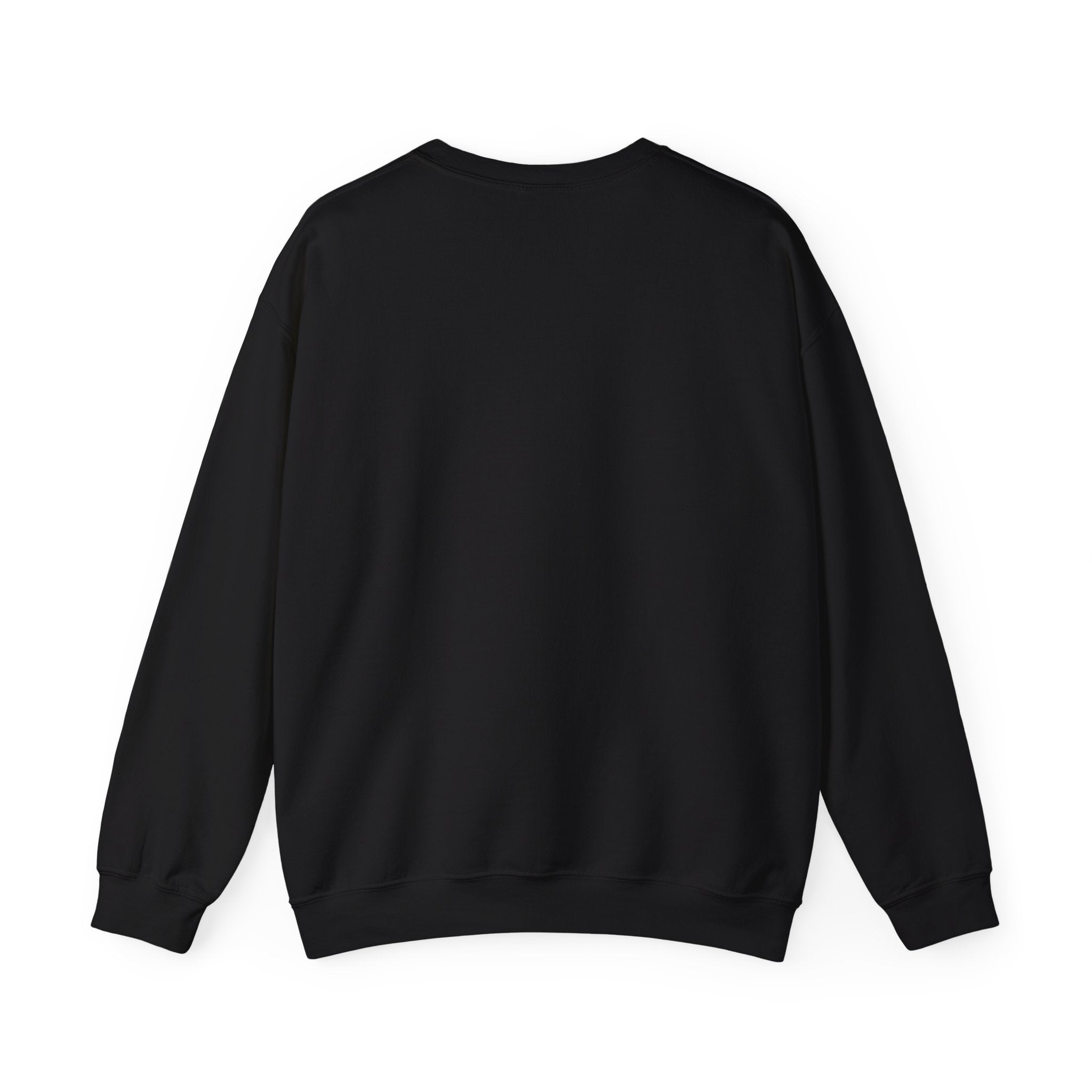 Cozy But Uncontained Raccoon Sweatshirt | Feral Raccoon Aesthetic, Wilderness