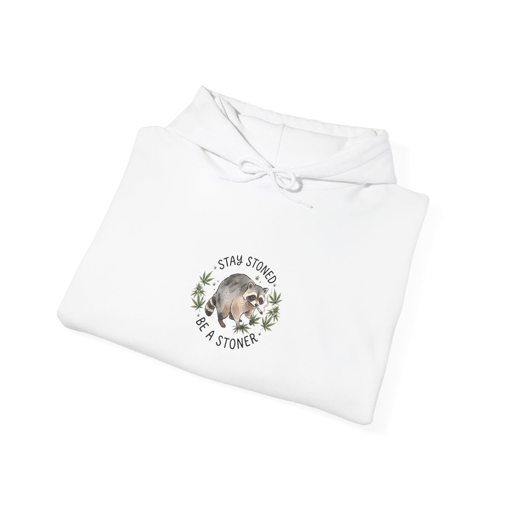 Scruffy Raccoon Illustration Hoodie | Viral Seattle Raccoon Trend