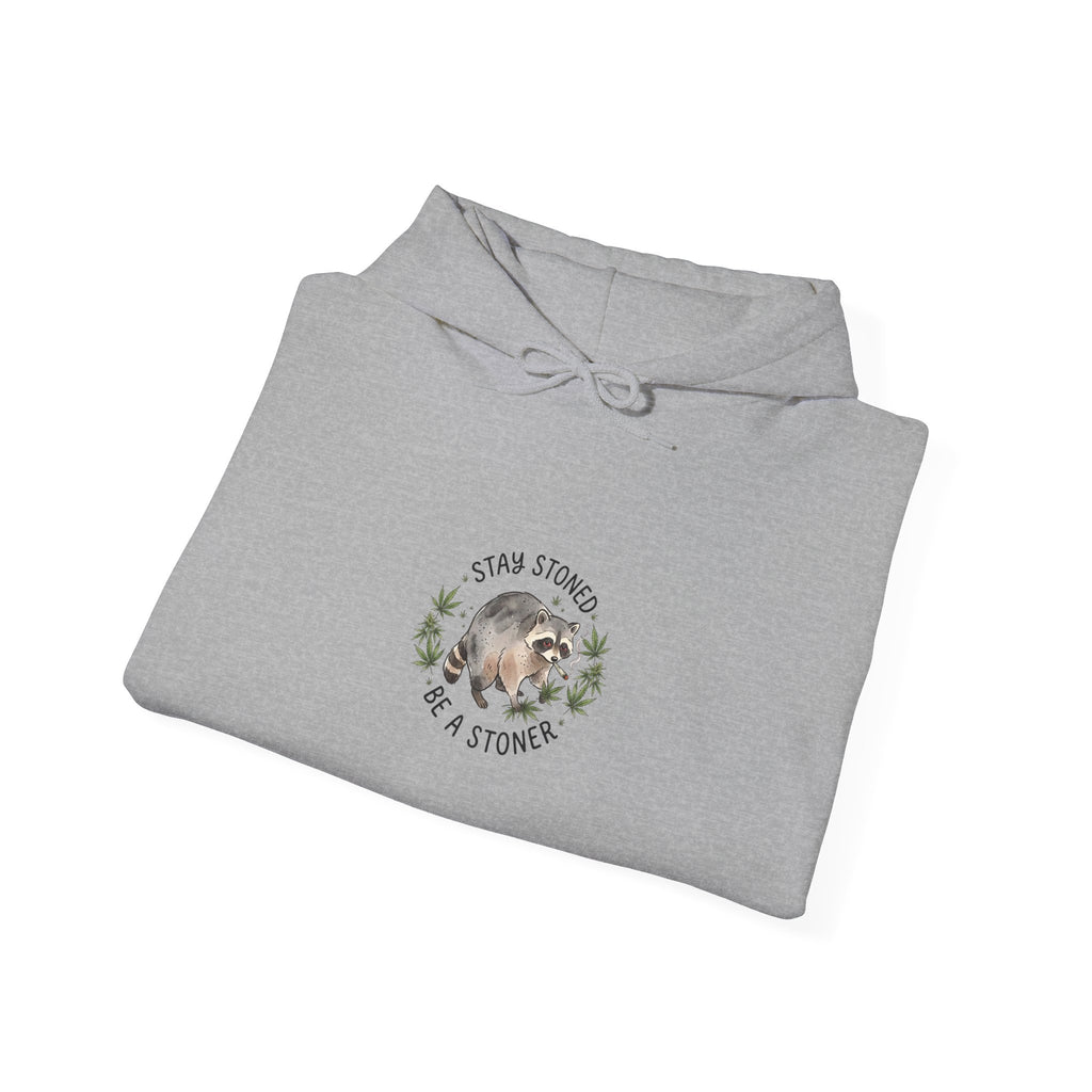 Scruffy Raccoon Illustration Hoodie | Viral Seattle Raccoon Trend