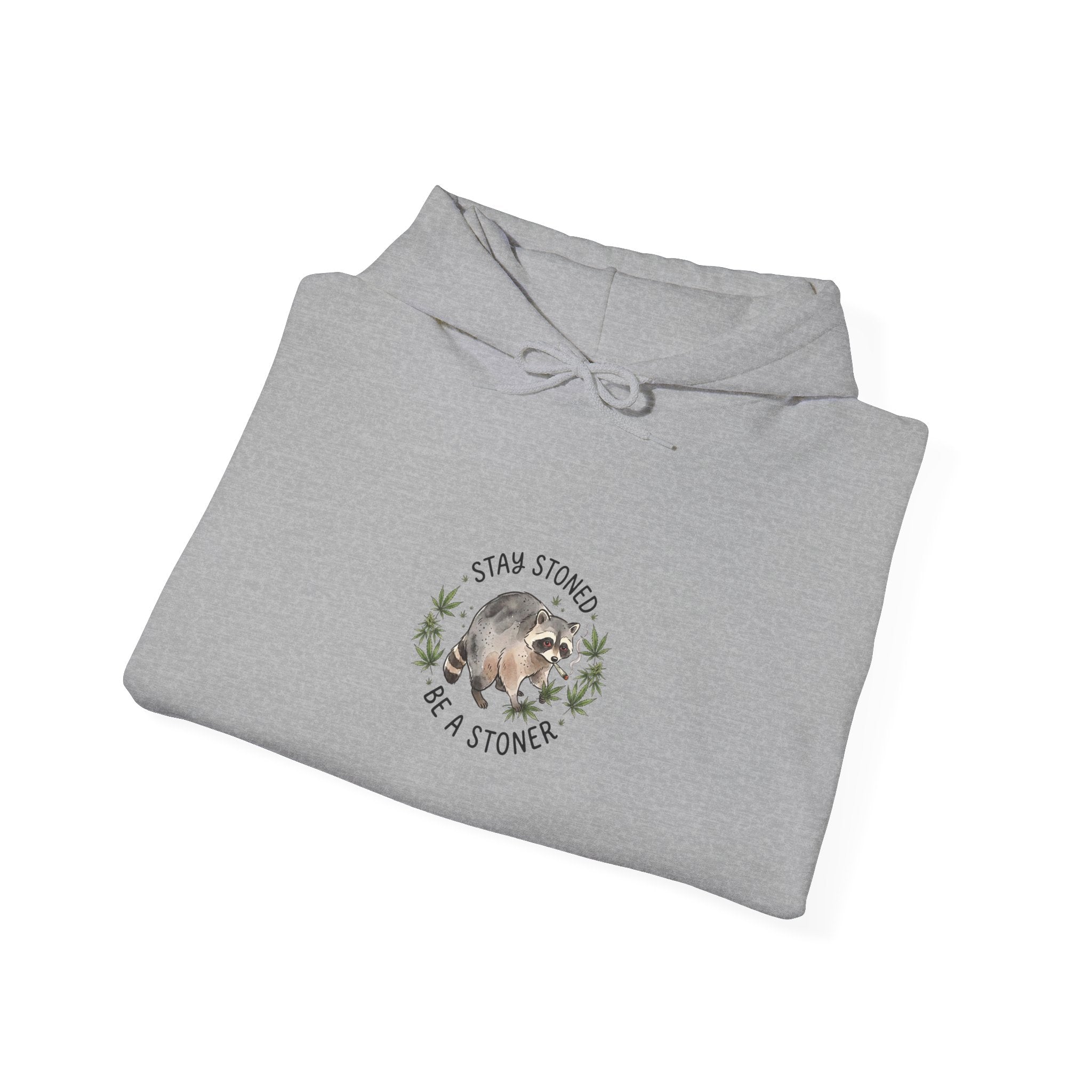 Scruffy Raccoon Illustration Hoodie | Viral Seattle Raccoon Trend