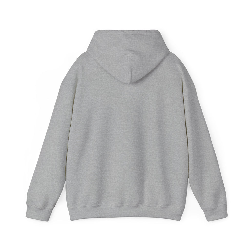 Feral Raccoon Nightforest Hoodie | Celestial Wilderness, Trash-Panda Aesthetic