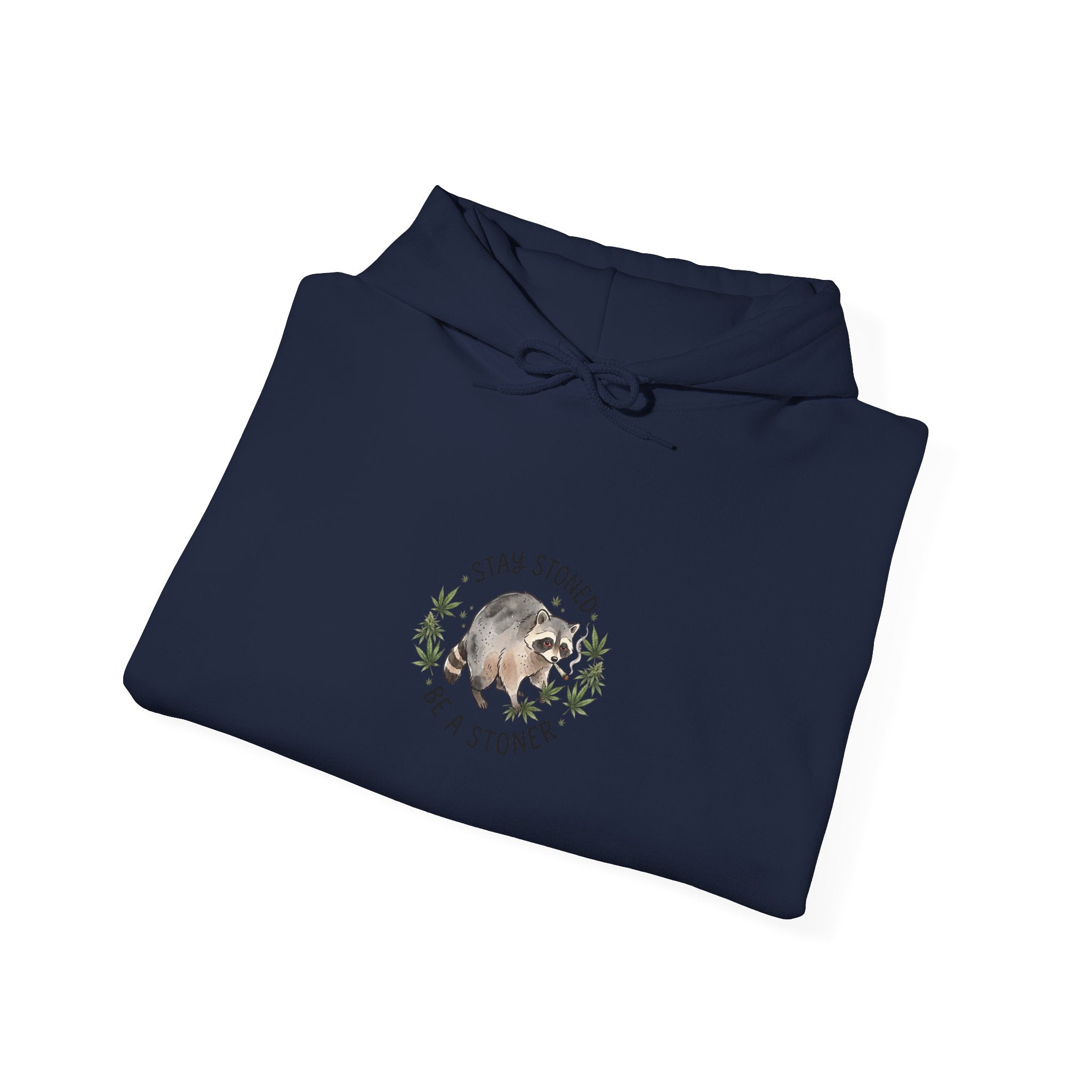 Scruffy Raccoon Illustration Hoodie | Viral Seattle Raccoon Trend