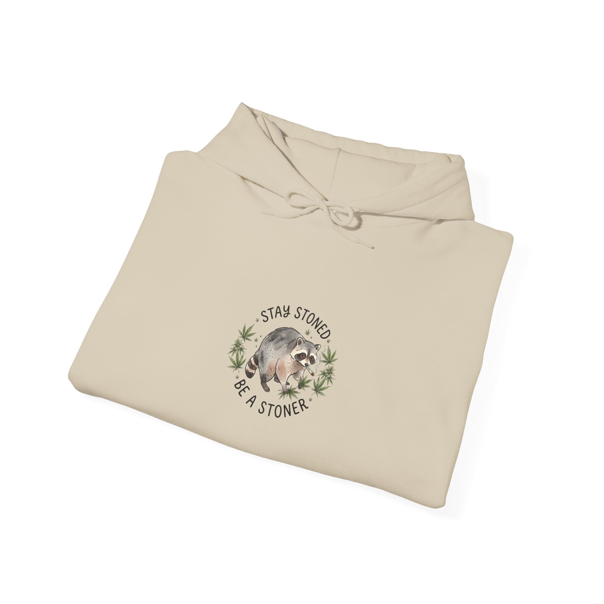 Scruffy Raccoon Illustration Hoodie | Viral Seattle Raccoon Trend