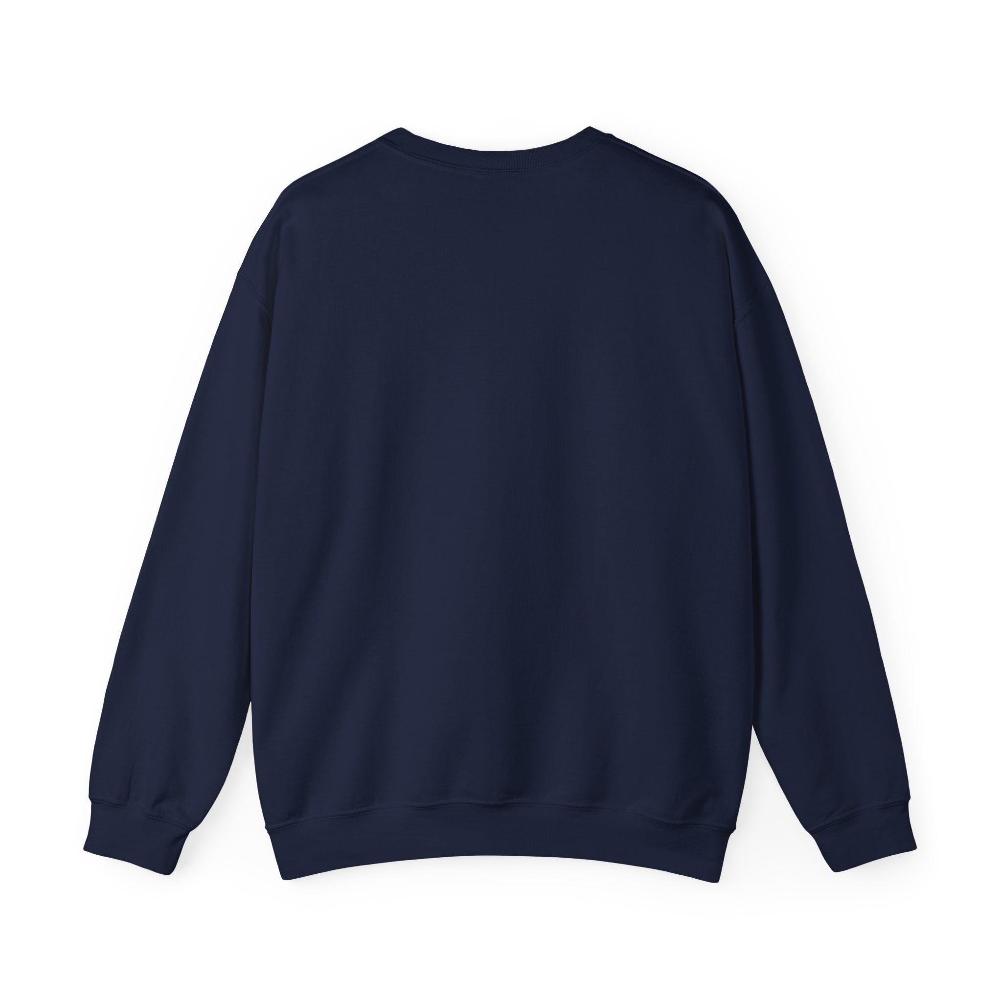 Cozy But Uncontained Raccoon Sweatshirt | Feral Raccoon Aesthetic, Wilderness